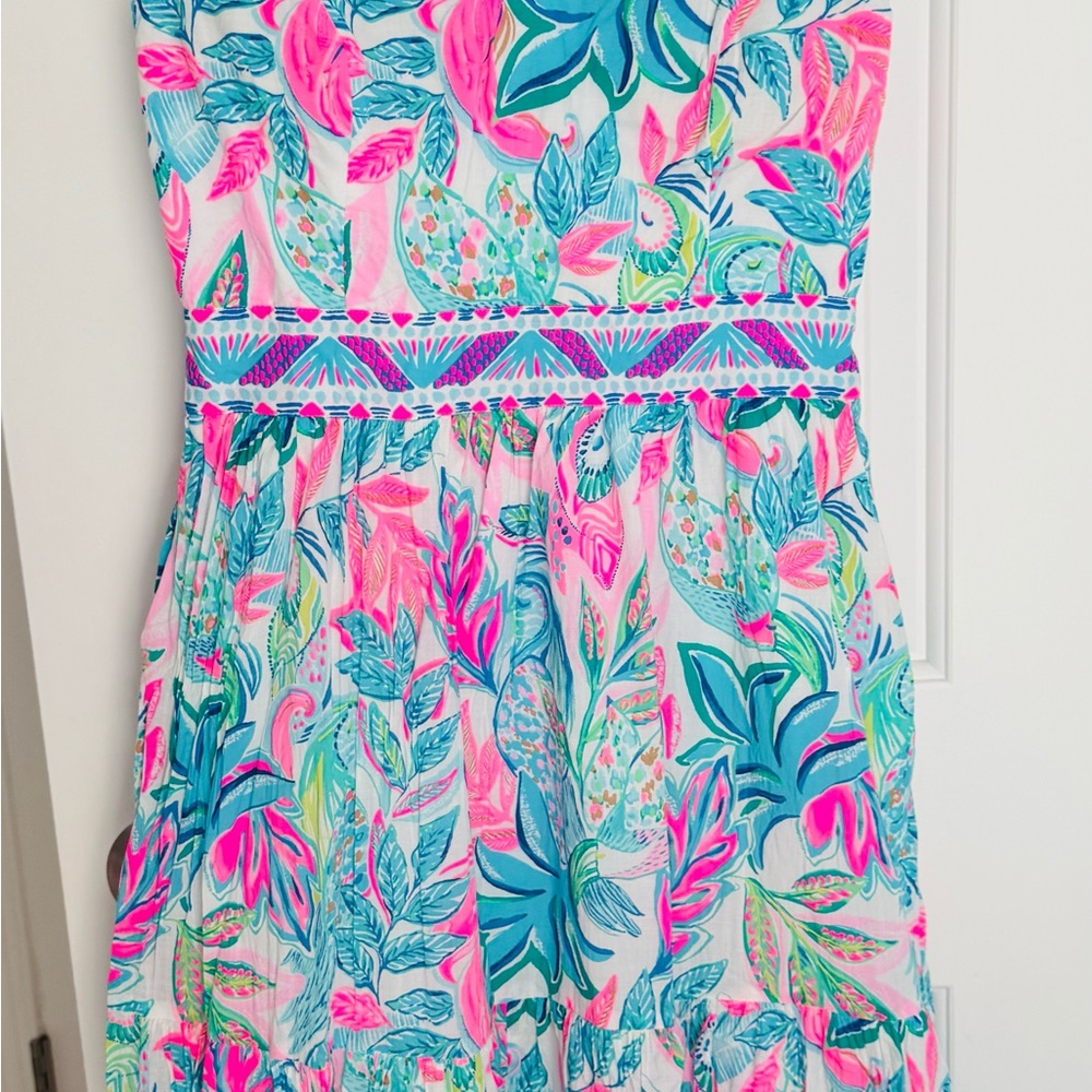 Lilly Pulitzer Charleen Maxi.